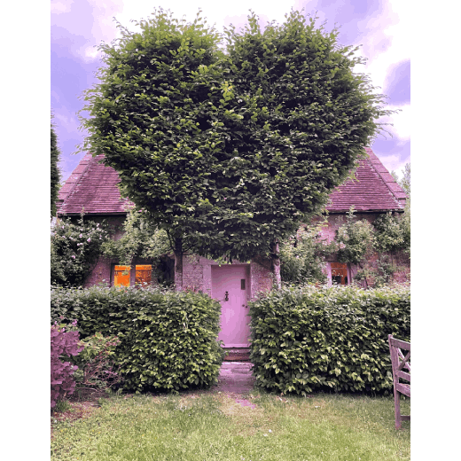 A pop-art love-heart in topiary shows the breadth of ideas by this designer